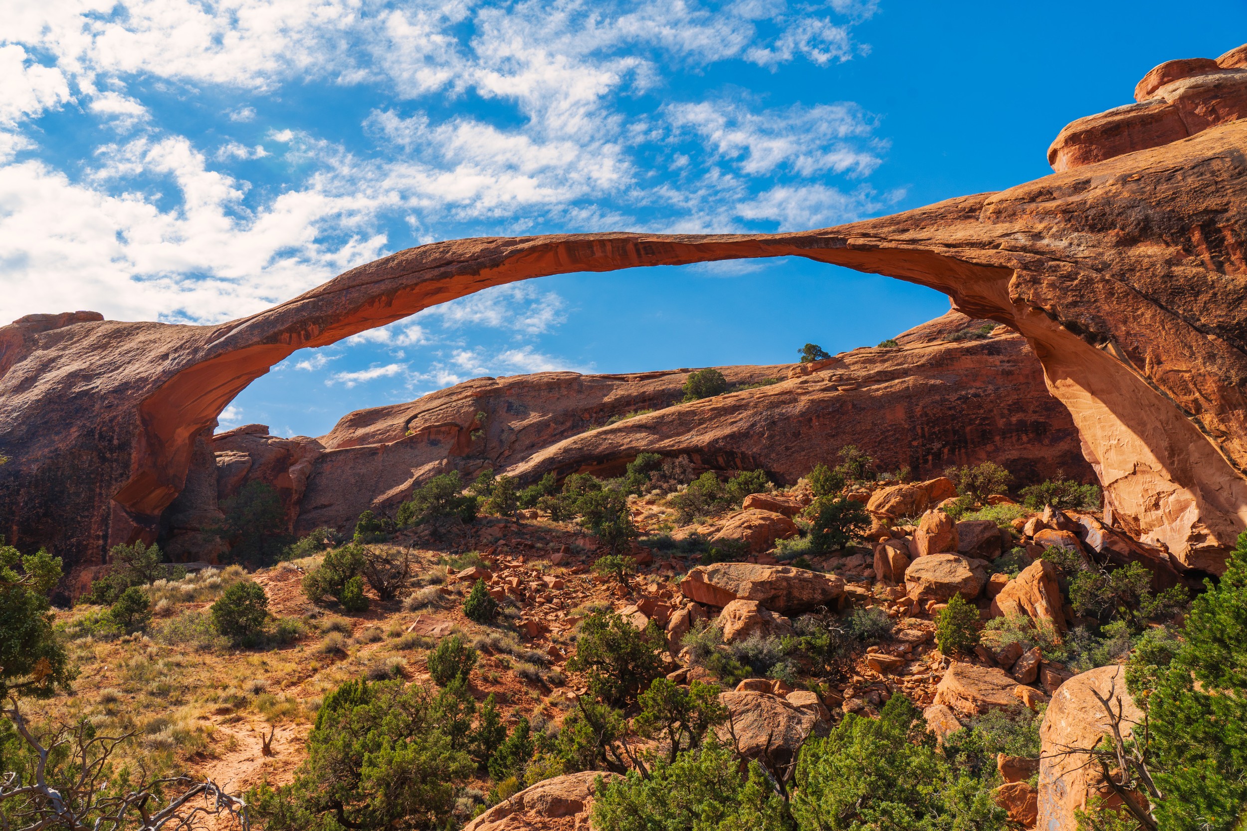 USA 2024 5 Sterne 119